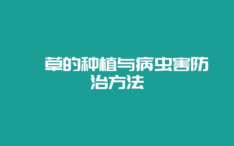 萱草的种植与病虫害防治方法-会东网