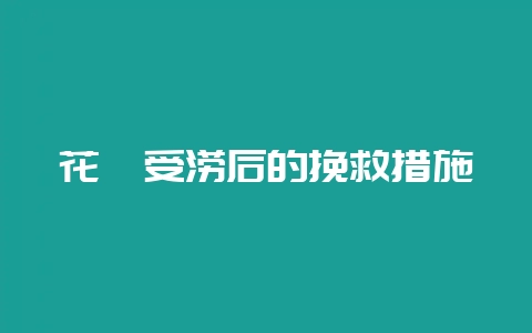 花卉受涝后的挽救措施-会东网