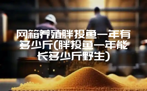 网箱养殖胖头鱼一年有多少斤(胖头鱼一年能长多少斤野生)-会东网