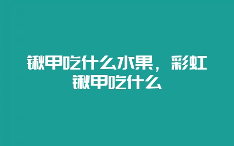 锹甲吃什么水果,彩虹锹甲吃什么-会东网