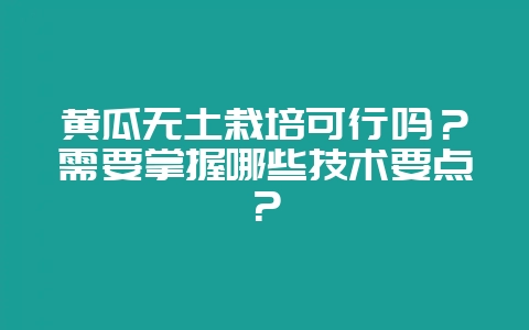 黄瓜无土栽培可行吗？需要掌握哪些技术要点？-会东网