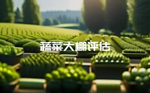 蔬菜大棚评估-会东网