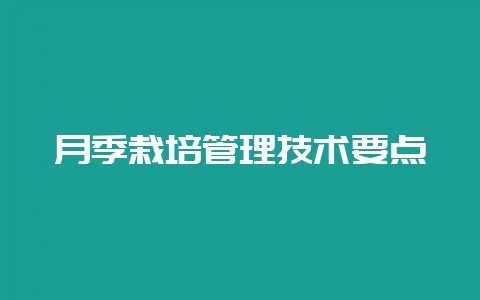 月季栽培管理技术要点-会东网