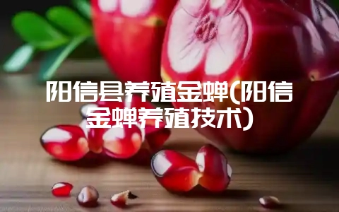 阳信县养殖金蝉(阳信金蝉养殖技术)-会东网