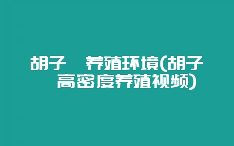 胡子鲶养殖环境(胡子鲶高密度养殖视频)-会东网