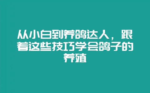 从小白到养鸽达人，跟着这些技巧学会鸽子的养殖-会东网