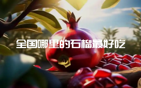 全国哪里的石榴最好吃-会东网