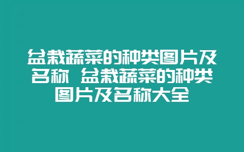 盆栽蔬菜的种类图片及名称 盆栽蔬菜的种类图片及名称大全-会东网
