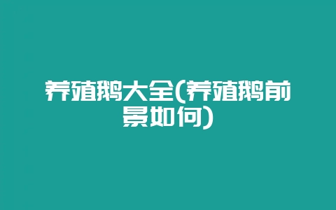 养殖鹅大全(养殖鹅前景如何)-会东网