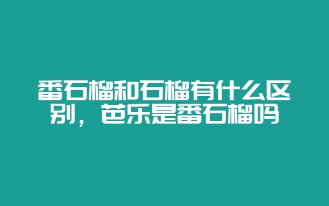 番石榴和石榴有什么区别，芭乐是番石榴吗-会东网