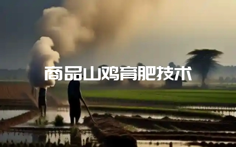 商品山鸡育肥技术-会东网