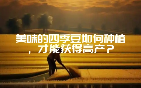 美味的四季豆如何种植，才能获得高产？-会东网