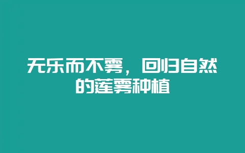 无乐而不雾，回归自然的莲雾种植-会东网