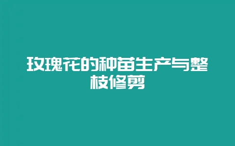 玫瑰花的种苗生产与整枝修剪-会东网
