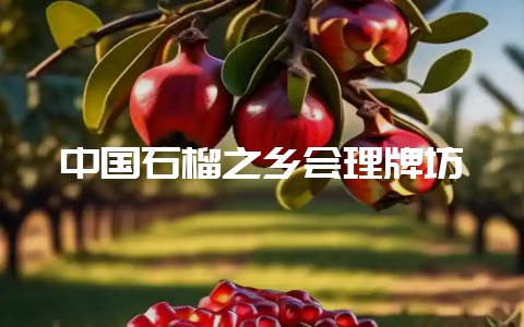 中国石榴之乡会理牌坊-会东网