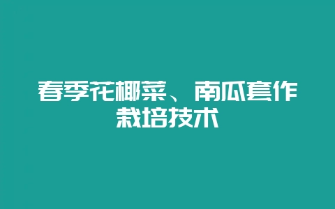 春季花椰菜、南瓜套作栽培技术-会东网