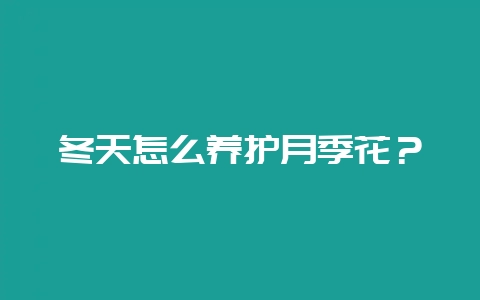 冬天怎么养护月季花？-会东网