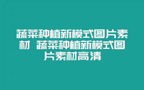 蔬菜种植新模式图片素材 蔬菜种植新模式图片素材高清-会东网
