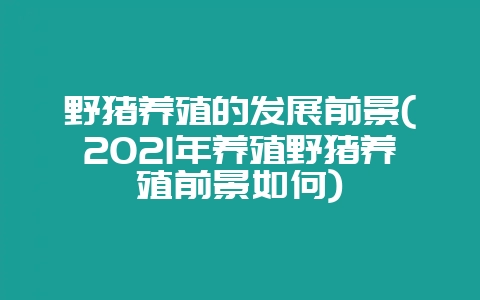 野猪养殖的发展前景(2021年养殖野猪养殖前景如何)-会东网