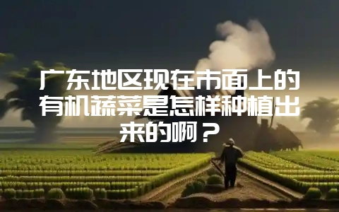 广东地区现在市面上的有机蔬菜是怎样种植出来的啊？-会东网