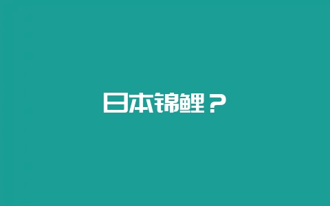 日本锦鲤？-会东网