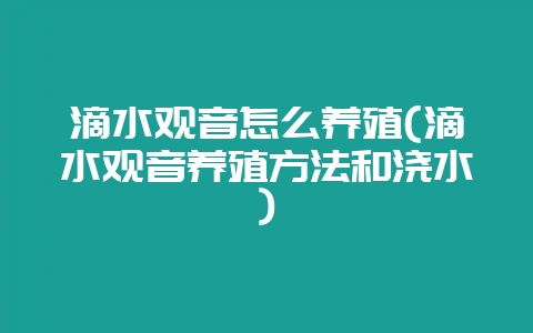 滴水观音怎么养殖(滴水观音养殖方法和浇水)-会东网