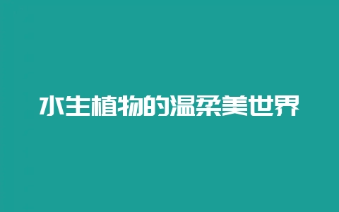 水生植物的温柔美世界-会东网