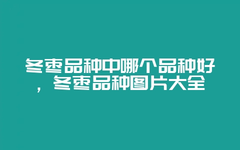 冬枣品种中哪个品种好，冬枣品种图片大全-会东网