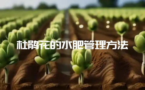 杜鹃花的水肥管理方法-会东网