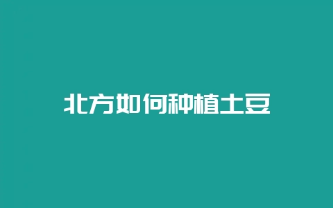 北方如何种植土豆-会东网