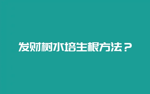 发财树水培生根方法？-会东网