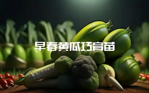 早春黄瓜巧育苗-会东网