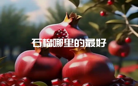 石榴哪里的最好-会东网