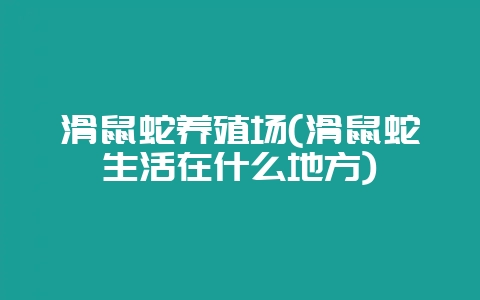 滑鼠蛇养殖场(滑鼠蛇生活在什么地方)-会东网