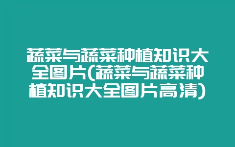 蔬菜与蔬菜种植知识大全图片(蔬菜与蔬菜种植知识大全图片高清)-会东网