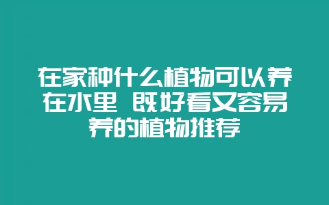 在家种什么植物可以养在水里 既好看又容易养的植物推荐-会东网