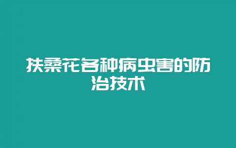 扶桑花各种病虫害的防治技术-会东网