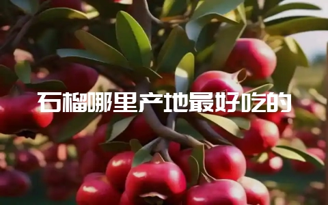 石榴哪里产地最好吃的-会东网