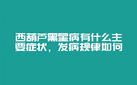 西葫芦黑星病有什么主要症状,发病规律如何-会东网