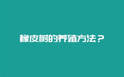 橡皮树的养殖方法？-会东网