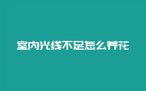 室内光线不足怎么养花-会东网