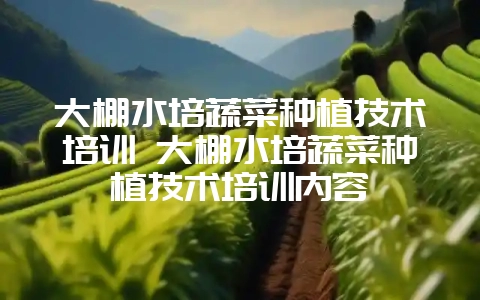 大棚水培蔬菜种植技术培训 大棚水培蔬菜种植技术培训内容-会东网