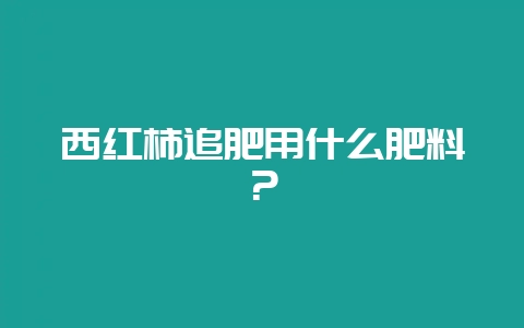 西红柿追肥用什么肥料？-会东网