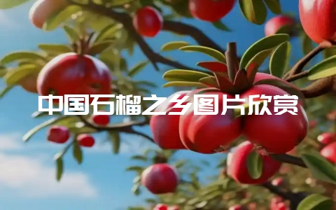 中国石榴之乡图片欣赏-会东网