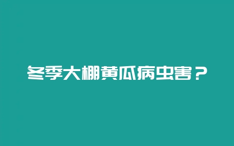 冬季大棚黄瓜病虫害？-会东网