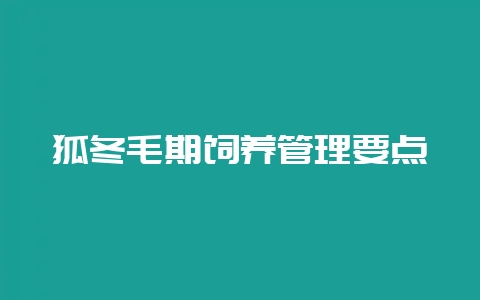 狐冬毛期饲养管理要点-会东网
