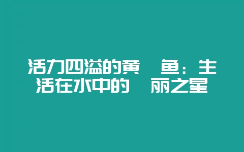 活力四溢的黄颡鱼：生活在水中的绚丽之星-会东网