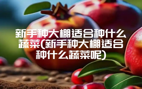 新手种大棚适合种什么蔬菜(新手种大棚适合种什么蔬菜呢)-会东网