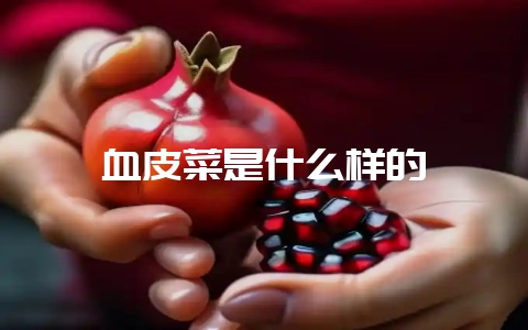 血皮菜是什么样的-会东网