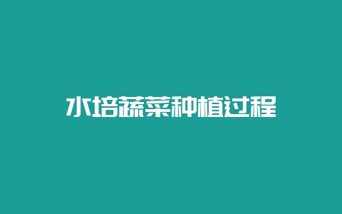 水培蔬菜种植过程-会东网